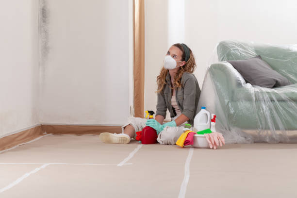 Reliable Basement Mold Remediation contractor in Saint Paul, MN by Car Mold Remediation